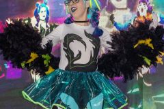Festival_geek_parque_valongo_domingo_B299